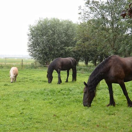 Apartment Het Friesche Paard Purmer エクステリア 写真