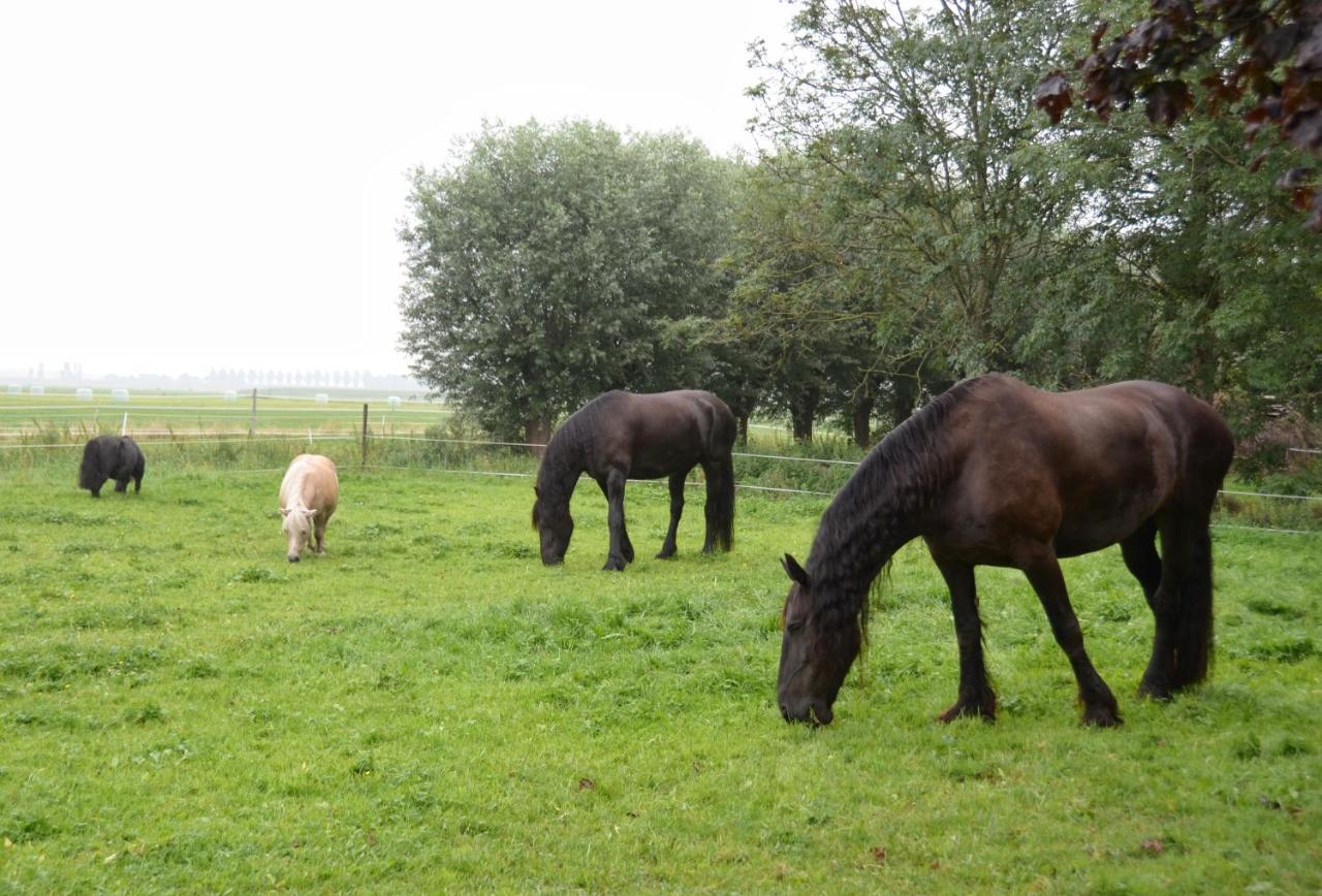 Apartment Het Friesche Paard Purmer エクステリア 写真