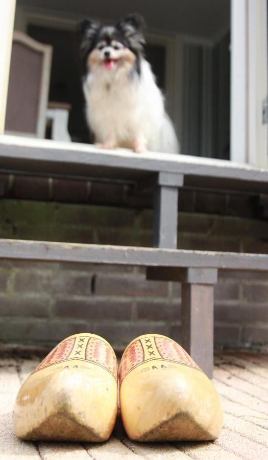 Apartment Het Friesche Paard Purmer エクステリア 写真